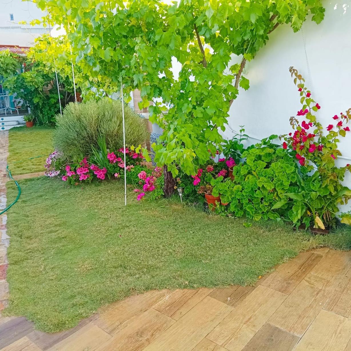 Casa Con Piscina Cerca De Sevilla Carrion de Los Cespedes Esterno foto