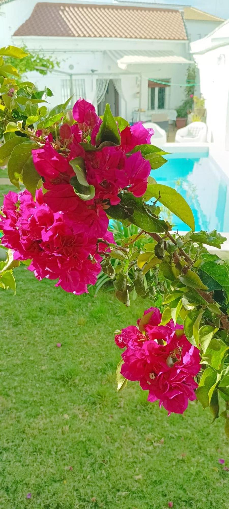 Casa Con Piscina Cerca De Sevilla Carrion de Los Cespedes Esterno foto