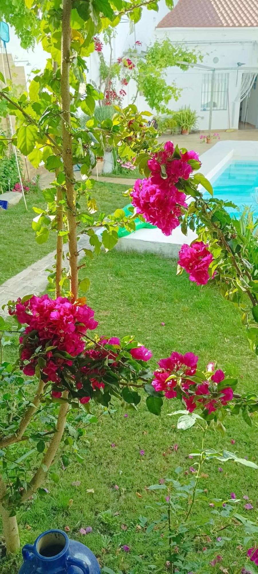 Casa Con Piscina Cerca De Sevilla Carrion de Los Cespedes Esterno foto